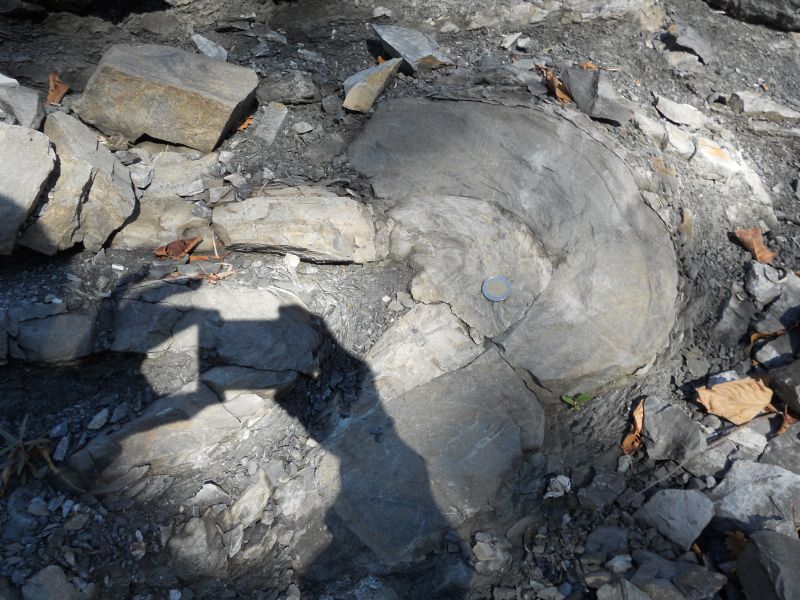 A caccia di faglie e strutture